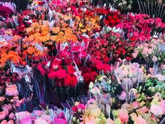 -宝鸡东道花鸟鱼虫市场(吉利花园商场店)