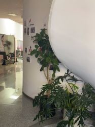 -MINX名珂斯·烫染形象设计