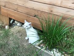 -凡烟外慢生活体验馆