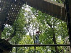-WeLope紫金山探险公园