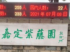 -嘉定紫藤园