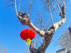 -观唐（国际）度假村温泉