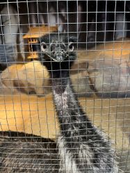 -酷嗒动物文化乐园(cutezoo西溪乐天城店)