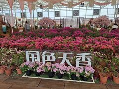 -盈香心动乐园