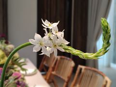 -悦哉·派对·草坪婚礼·围炉煮茶(三圣乡店)