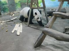 -柳州市动物园