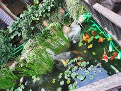 -凤凰山斑鱼馆(恭城店)