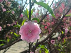 -水濂山森林公园