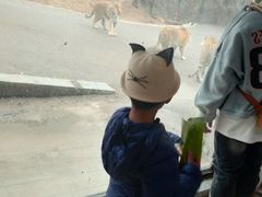 -大连森林动物园