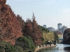 -新江湾城公园