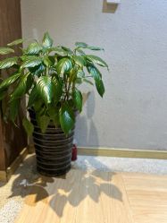 -香秀空间科技抗衰·美容中心