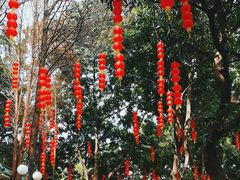 -晓港公园