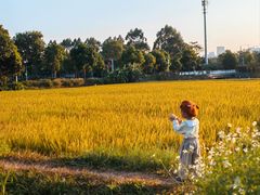-光明小镇欢乐田园