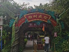 -瑞丽独树成林风景区