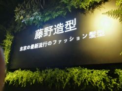 点击看大图 -藤野造型