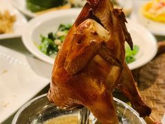 大树头必点招烧鸡-大树头森林餐厅(番禺广场店)