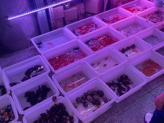 -宝鸡东道花鸟鱼虫市场(吉利花园商场店)