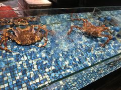-广东道至正餐厅(区庄店)