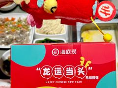 -海底捞火锅(丹竹头星悦天地店)