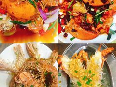 -亚龙湾海底世界