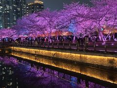-西北湖绿化广场