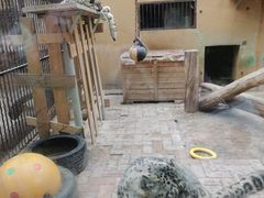 -青藏高原野生动物园