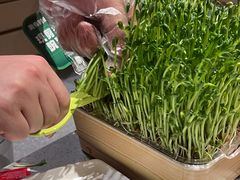 -海底捞火锅(吾悦广场店)