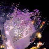 东莞游玩打卡｜西溪古镇