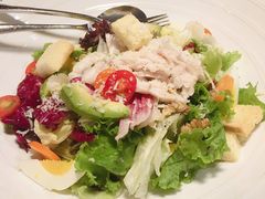 牛油果鸡肉沙拉-斯比特花园西餐厅(大丸百货店)
