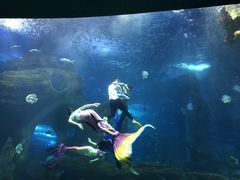 -多彩贵州城极地海洋世界