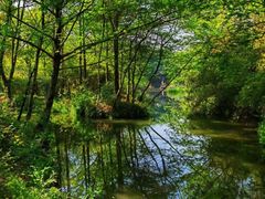 -西溪国家湿地公园