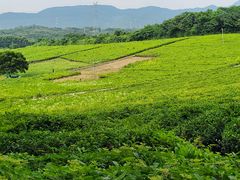 -宜兴龙背山森林公园