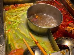 菌汤锅底-蜀江龙火锅(339店)