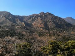 -北京鹫峰国家森林公园