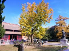 -苏州文庙(姑苏区)