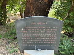 -泰山风景名胜区-普照寺