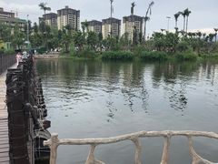 -枫香湖儿童公园