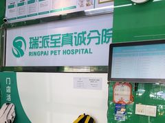 -瑞派动物医院·猫专科·至诚(江南中分院)