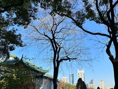-古琴台