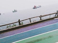 -贡湖湾湿地公园