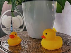 -素匠泰茶(三里屯SOHO工体奶茶店)
