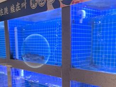-呷湘厨·鱼汤捞饭·剁椒鱼头·辣椒炒肉(国家会展中心店)