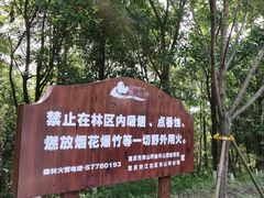 -铁山坪森林公园