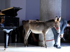 -北京三里屯CHAO酒店