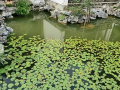 -芥子园