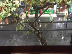 -清真.回香园(南街店)