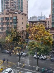 -禧贝阁母婴呵护中心(市图书馆店)