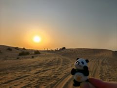 -迪拜沙漠冲沙