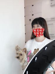 -YESIDO椰岛造型