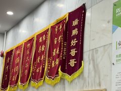 -瑞鹏宠物医院华南总院·夜诊·心脏科·骨科